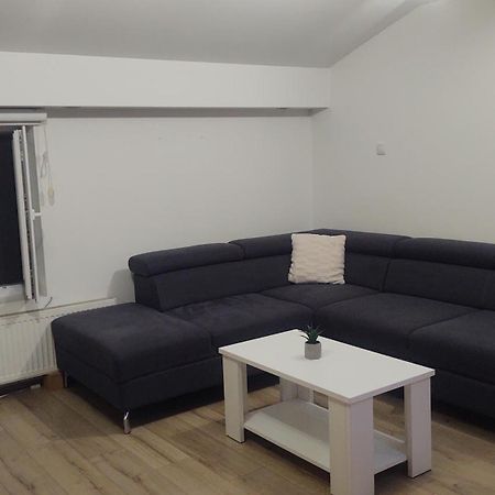 Apartman Big Novi Sad Exterior foto